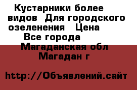 Кустарники более 100 видов. Для городского озеленения › Цена ­ 70 - Все города  »    . Магаданская обл.,Магадан г.